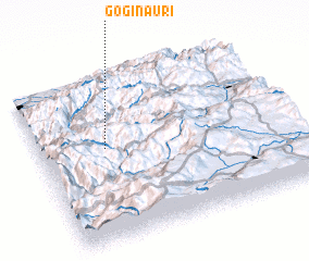 3d view of Goginauri