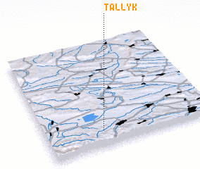 3d view of Tallyk