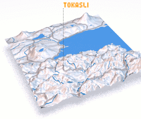 3d view of Tokaşlı