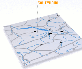 3d view of Saltykovo