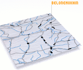 3d view of Belonemukhin