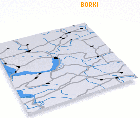 3d view of Borki