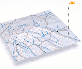 3d view of Wajī