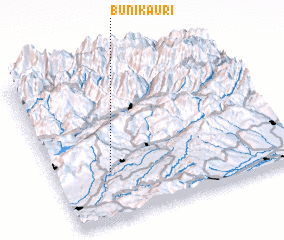 3d view of Bunikauri