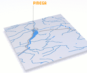 3d view of Pinega