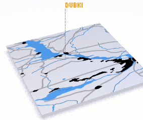 3d view of Dubki