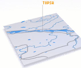 3d view of Topsa