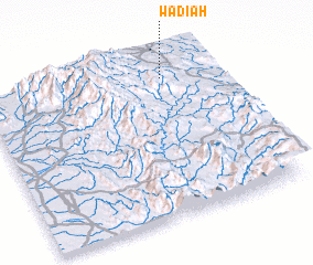 3d view of Wādi‘ah