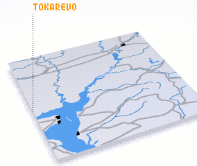 3d view of Tokarëvo