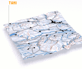 3d view of Tami