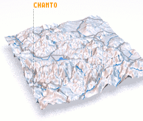 3d view of Chamto