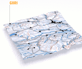 3d view of Gori