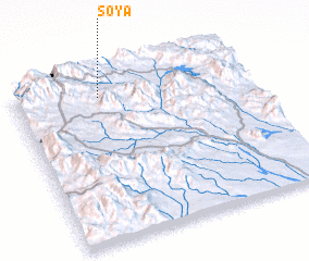 3d view of Soya