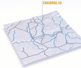 3d view of Sakamalio