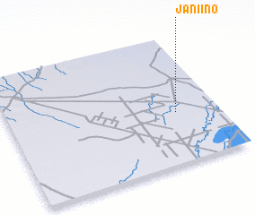 3d view of Janiino