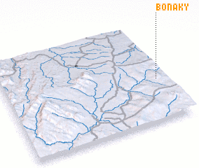 3d view of Bonaky