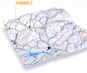 3d view of Tumasly