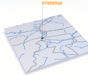 3d view of Nyunen\