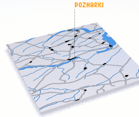 3d view of Pozharki
