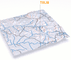 3d view of Tolia