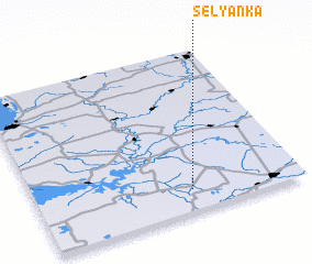 3d view of Selyanka