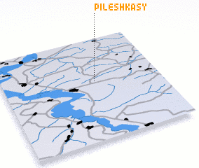 3d view of Pilesh\