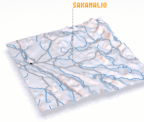 3d view of Sakamalio