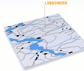 3d view of Lobashkino