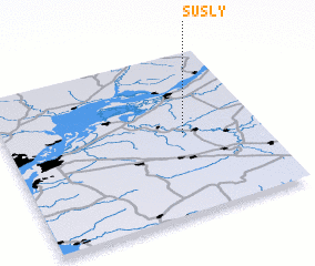 3d view of Susly