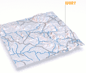 3d view of Ivory