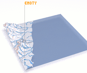 3d view of Emoty