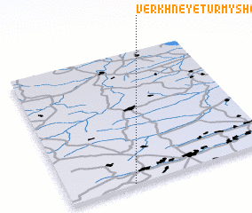 3d view of Verkhneye Turmyshevo