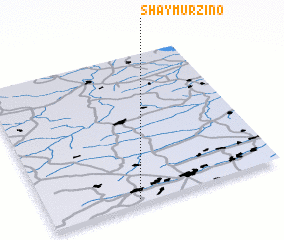 3d view of Shaymurzino