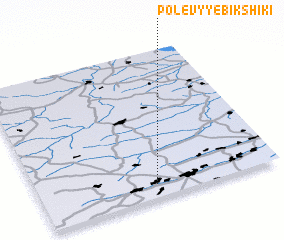 3d view of Polevyye Bikshiki