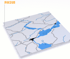 3d view of Piksur