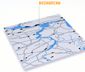 3d view of Bushancha