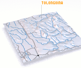 3d view of Tolongoina