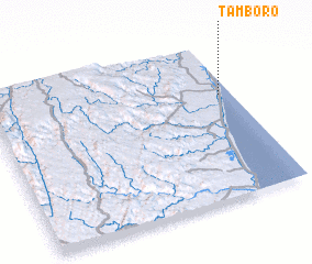 3d view of Tamboro