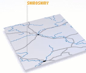 3d view of Shiroshiny