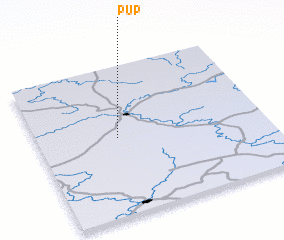3d view of Pup