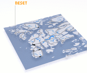 3d view of Neset