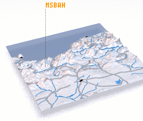 3d view of MʼSbah