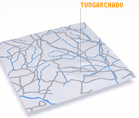 3d view of Tungar Chado