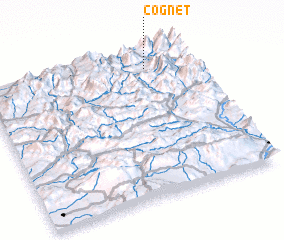 3d view of Cognet