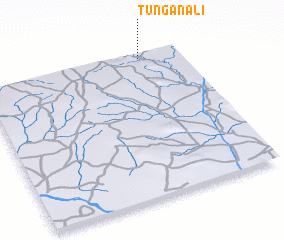 3d view of Tungan Ali