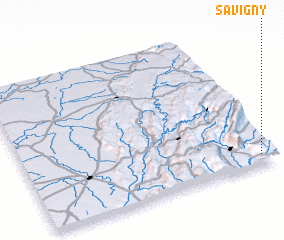 3d view of Savigny