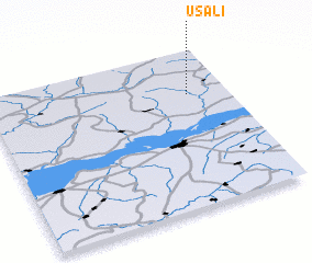 3d view of Usali