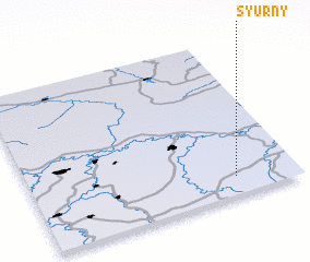 3d view of Syurny