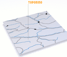 3d view of Toporino