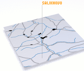 3d view of Salikhovo